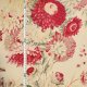 USA生地＜1064＞ヨーロッパ・１