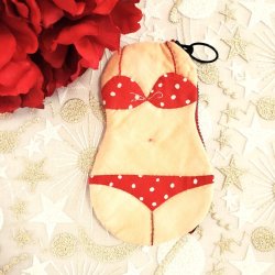 画像1: キット見本・ビキニのポーチ（赤）