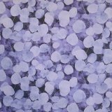 画像: USA生地＜1139＞淡い紫のつぶ
