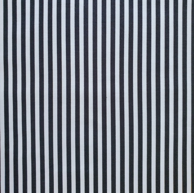 画像: 国産生地＜282＞ストライプ・黒