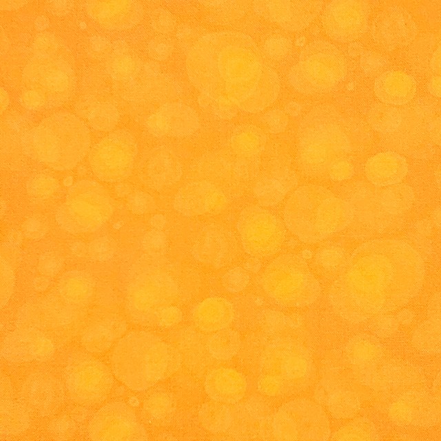 画像: USA生地クォーターカット（1122)