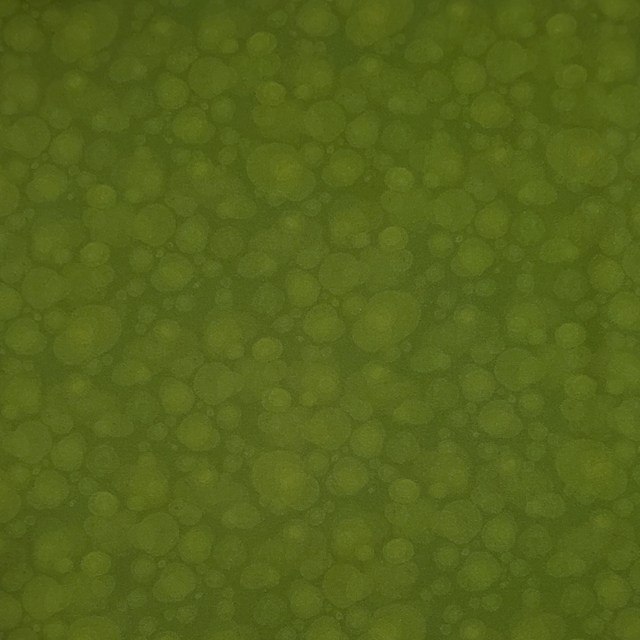 画像: USA生地クォーターカット（1125)