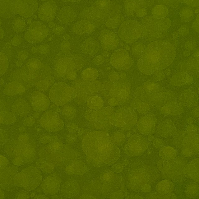 画像: USA生地クォーターカット（1125)