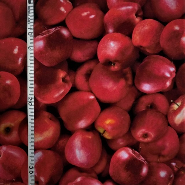 画像1: USA生地＜846＞リンゴ