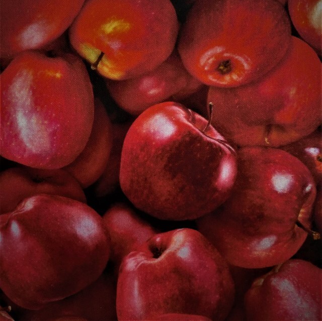 画像: USA生地＜846＞リンゴ